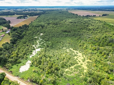 Tchula MS Delta 97 Acres for Sale - image 13