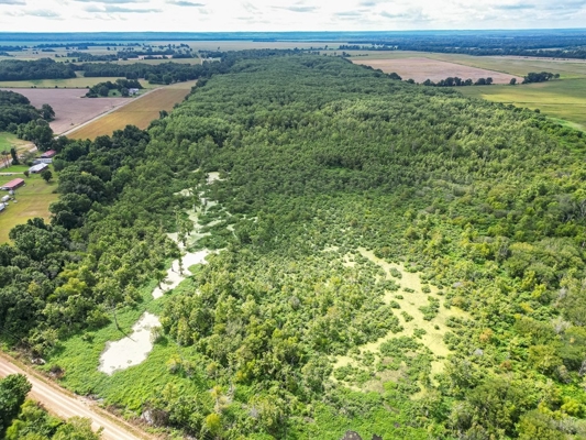 Tchula MS Delta 97 Acres for Sale