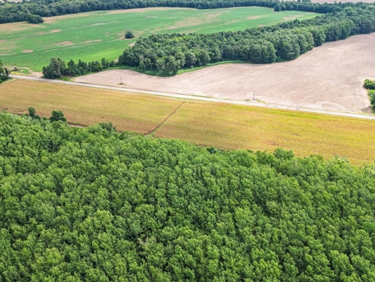 Tchula MS Delta 97 Acres for Sale