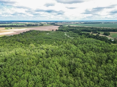 Tchula MS Delta 97 Acres for Sale - image 22