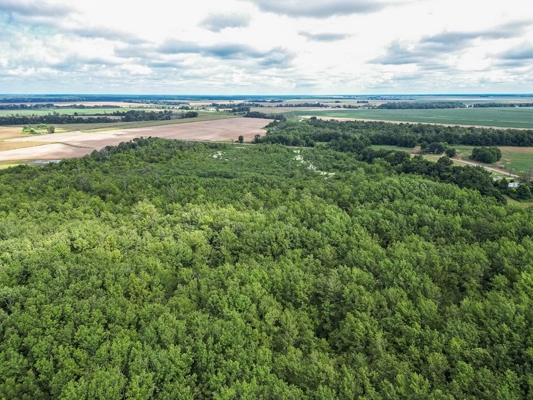 Tchula MS Delta 97 Acres for Sale