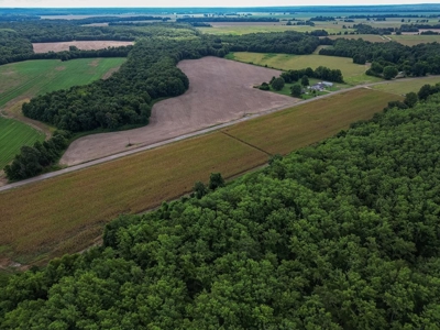 Tchula MS Delta 97 Acres for Sale - image 1