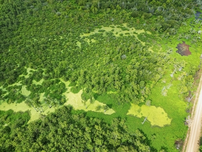 Tchula MS Delta 97 Acres for Sale - image 11