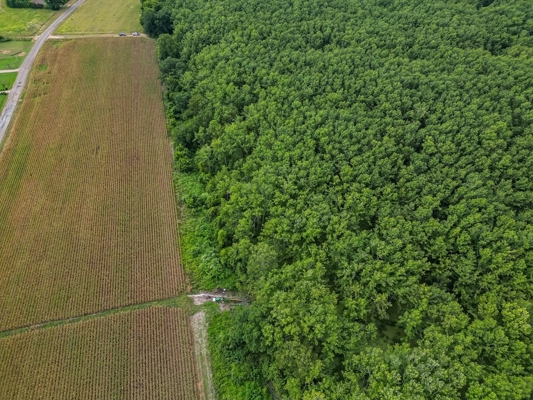 Tchula MS Delta 97 Acres for Sale