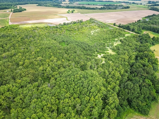 Tchula MS Delta 97 Acres for Sale
