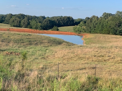 2 Homes, 41 Acres Of Mostly Lush Pasture - image 33