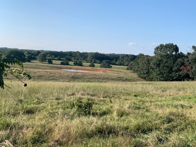 2 Homes, 41 Acres Of Mostly Lush Pasture - image 32