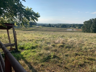 2 Homes, 41 Acres Of Mostly Lush Pasture - image 31