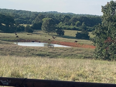 2 Homes, 41 Acres Of Mostly Lush Pasture - image 30