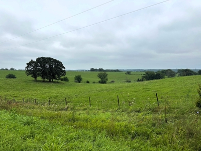 182 Acres for Sale 13 Miles NE of Brookfield, MO! - image 9