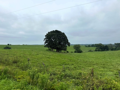 182 Acres for Sale 13 Miles NE of Brookfield, MO! - image 7