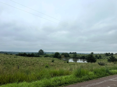 182 Acres for Sale 13 Miles NE of Brookfield, MO! - image 6