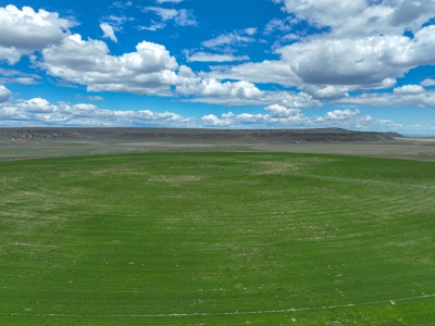 Eastern Oregon Carpenter Pivots - image 32