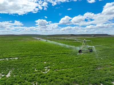 Eastern Oregon Carpenter Pivots - image 20