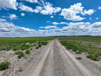 Eastern Oregon Carpenter Pivots - image 41