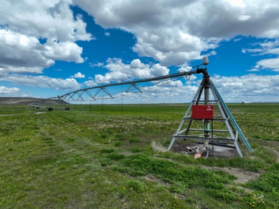 Eastern Oregon Carpenter Pivots - image 24
