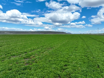 Eastern Oregon Carpenter Pivots - image 35