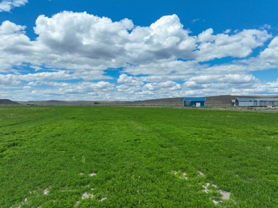 Eastern Oregon Carpenter Pivots - image 21