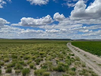 Eastern Oregon Carpenter Pivots - image 16