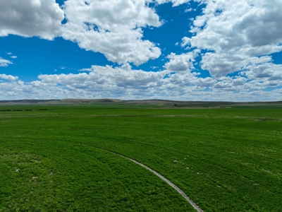 Eastern Oregon Carpenter Pivots - image 23