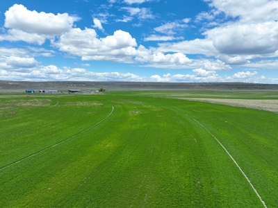 Eastern Oregon Carpenter Pivots - image 31