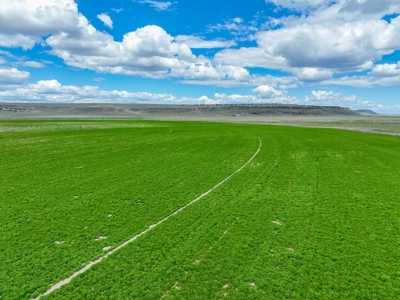 Eastern Oregon Carpenter Pivots - image 36