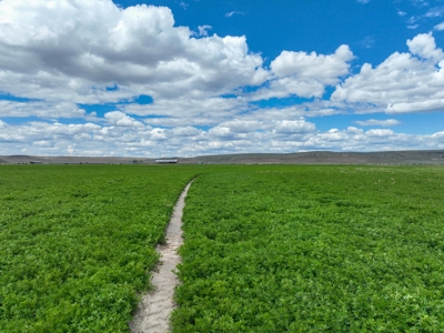 Eastern Oregon Carpenter Pivots - image 26