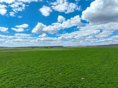 Eastern Oregon Carpenter Pivots - image 38