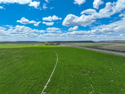 Eastern Oregon Carpenter Pivots - image 40