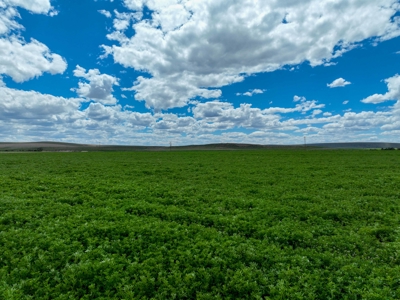 Eastern Oregon Carpenter Pivots - image 27