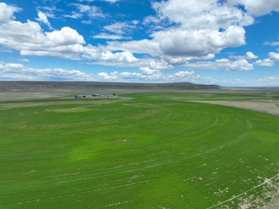 Eastern Oregon Carpenter Pivots - image 30