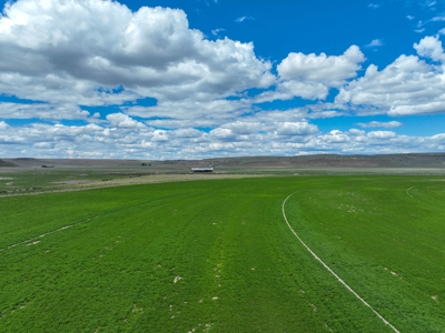 Eastern Oregon Carpenter Pivots - image 28