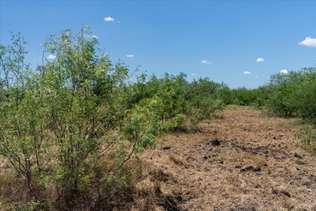 5.4 Acres - Highland Hill Ranch Subdivision -Build site - image 8