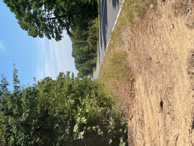 Land for Sale Talihina, Ok- Recreational Hunting Property OK - image 19