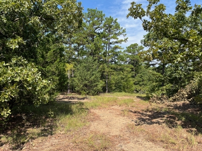 Land for Sale Talihina, Ok- Recreational Hunting Property OK - image 6