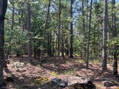 Land for Sale Talihina, Ok- Recreational Hunting Property OK - image 7