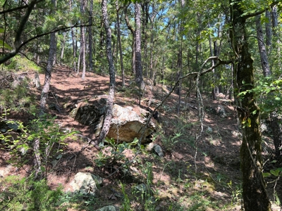 Mountain Hunting Land for Sale Talihina,Ok-Pushmataha County Land - image 15