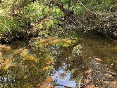 Mountain Hunting Land for Sale Talihina,Ok-Pushmataha County Land - image 17