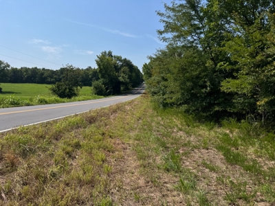 Mountain Hunting Land for Sale Talihina,Ok-Pushmataha County Land - image 4