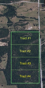 Mountain Hunting Land for Sale Talihina,Ok-Pushmataha County Land - image 24