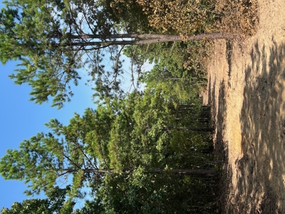 Mountain Hunting Land for Sale Talihina,Ok-Pushmataha County Land - image 6