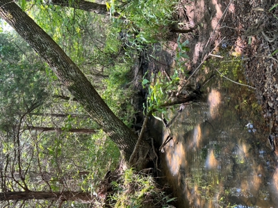 Mountain Hunting Land for Sale Talihina,Ok-Pushmataha County Land - image 18