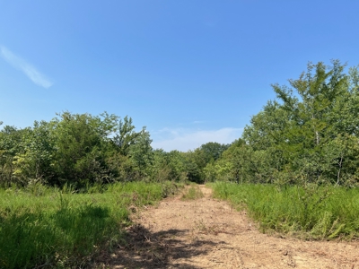 Mountain Hunting Land for Sale Talihina,Ok-Pushmataha County Land - image 2