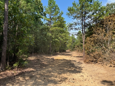 Mountain Hunting Land for Sale Talihina,Ok-Pushmataha County Land - image 5