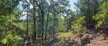 Land for Sale Talihina ,OK- Mountain Recreational Hunting Land - image 13