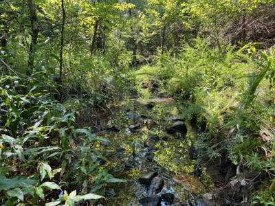 Land for Sale Talihina ,OK- Mountain Recreational Hunting Land - image 10