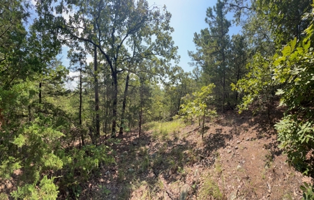 Land for Sale Talihina ,OK- Mountain Recreational Hunting Land - image 12