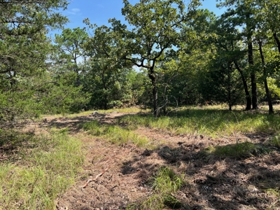 Home Site for Sale T Kiamichi Mountains - image 8