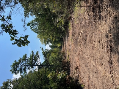 Home Site for Sale T Kiamichi Mountains - image 18