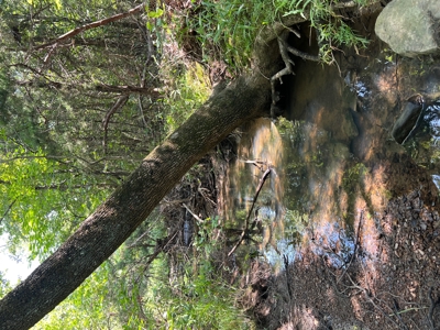 Home Site for Sale T Kiamichi Mountains - image 15